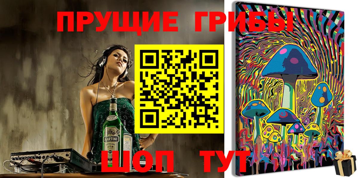 Апатиты  Псилоцибиновые грибы мицелий  как найти закладки  Вход с VPN 